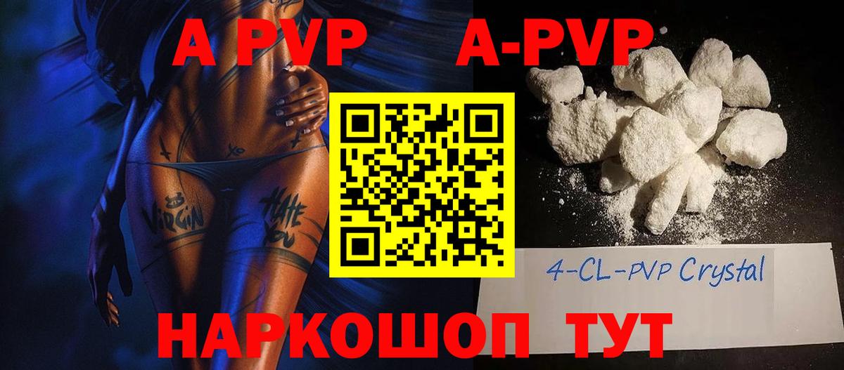 A PVP СК КРИС Курчатов