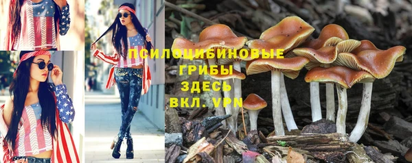 не бодяженный Покровск
