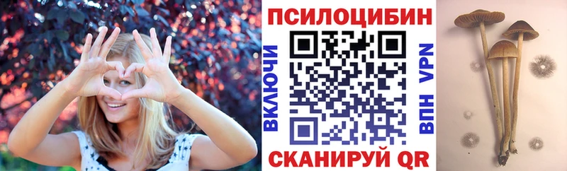кракен ONION  Курчатов  Галлюциногенные грибы ЛСД 