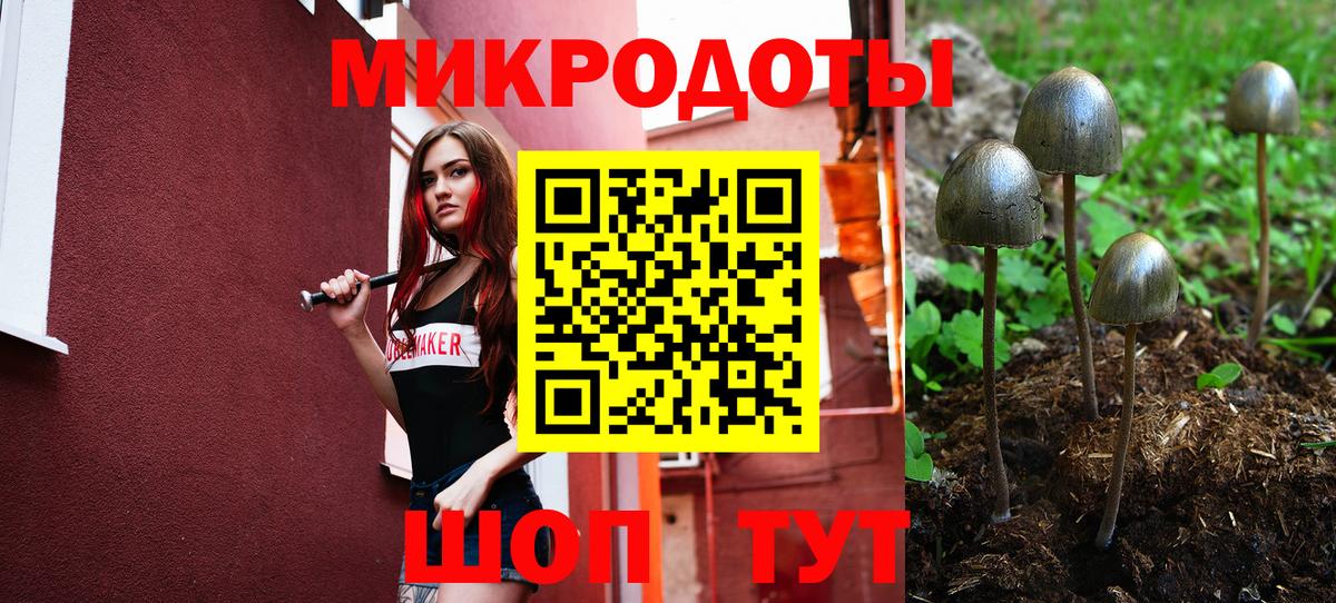 Галлюциногенные грибы прущие грибы  Вход с VPN  Курчатов 